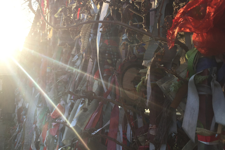 Film Showing - Crossbones: ethnography and gender in the graveyard of the outcast dead